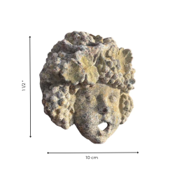 Materials of yesteryear: BACCHUS MOUTH