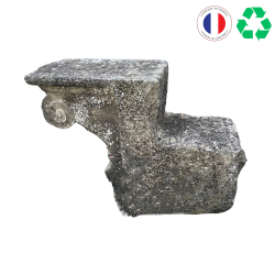 CORBEAU MOTIF VOLUTE SUR COTES