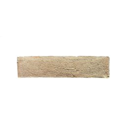 TCBN-001-COVER