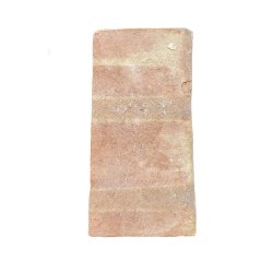 TCBN-019-COVER